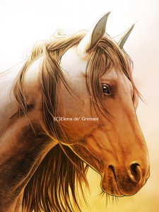cavallo1